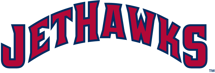 Lancaster Jethawks 2008-Pres Wordmark Logo vinyl decal